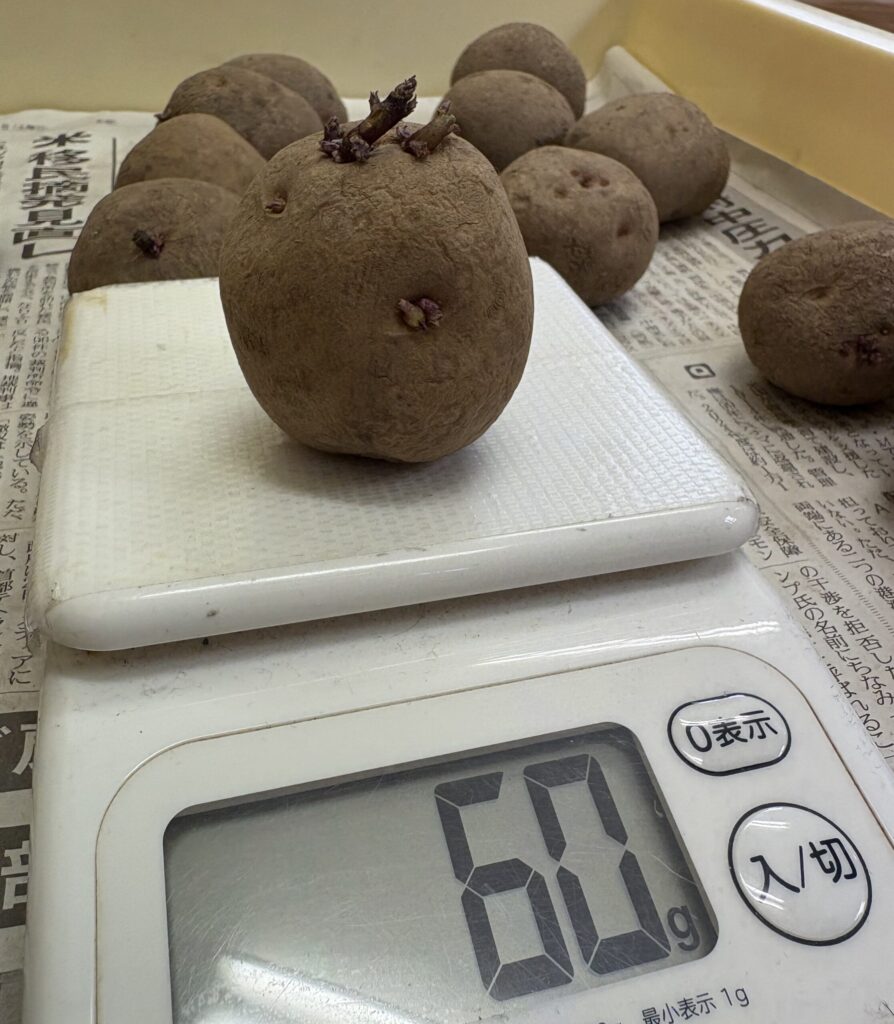 種芋の重さ
