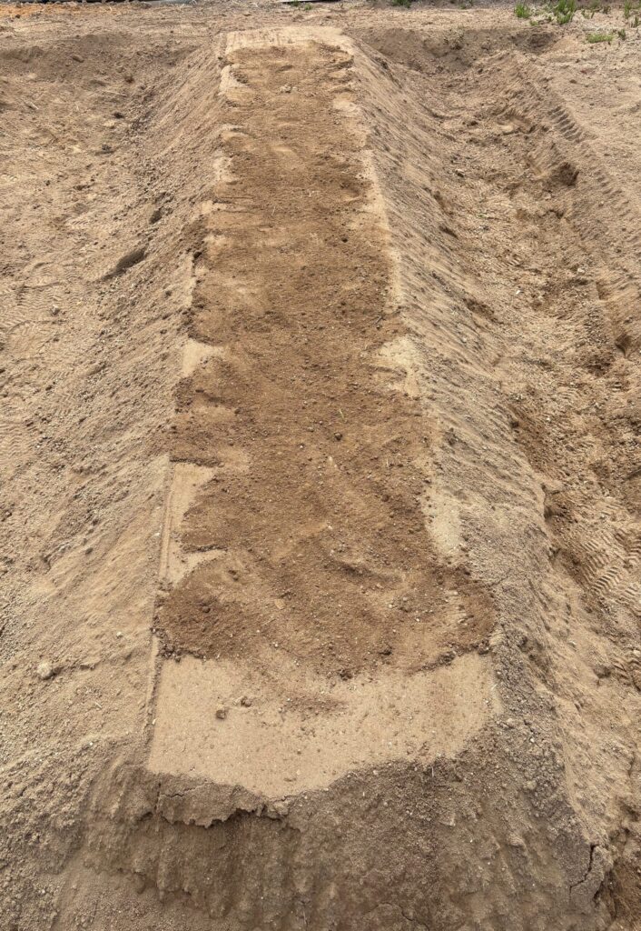 じゃがいも植え付け