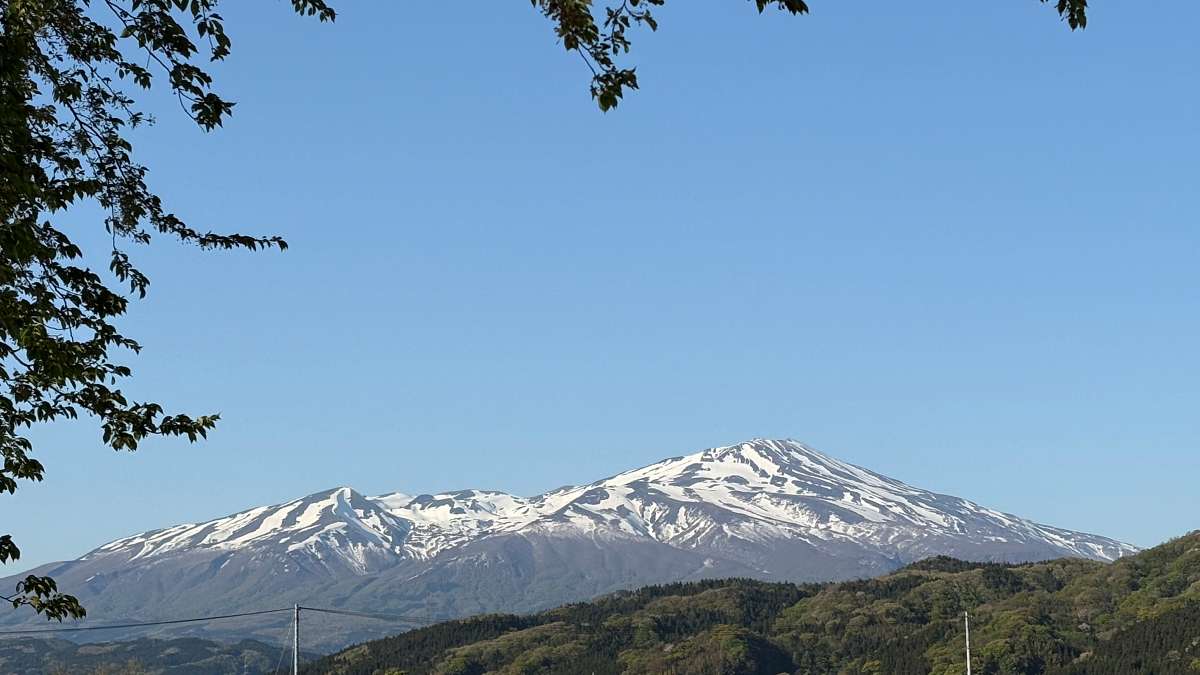 残雪の鳥海山。庄内では雪解けの時期に孟宗竹のシーズンが始まる