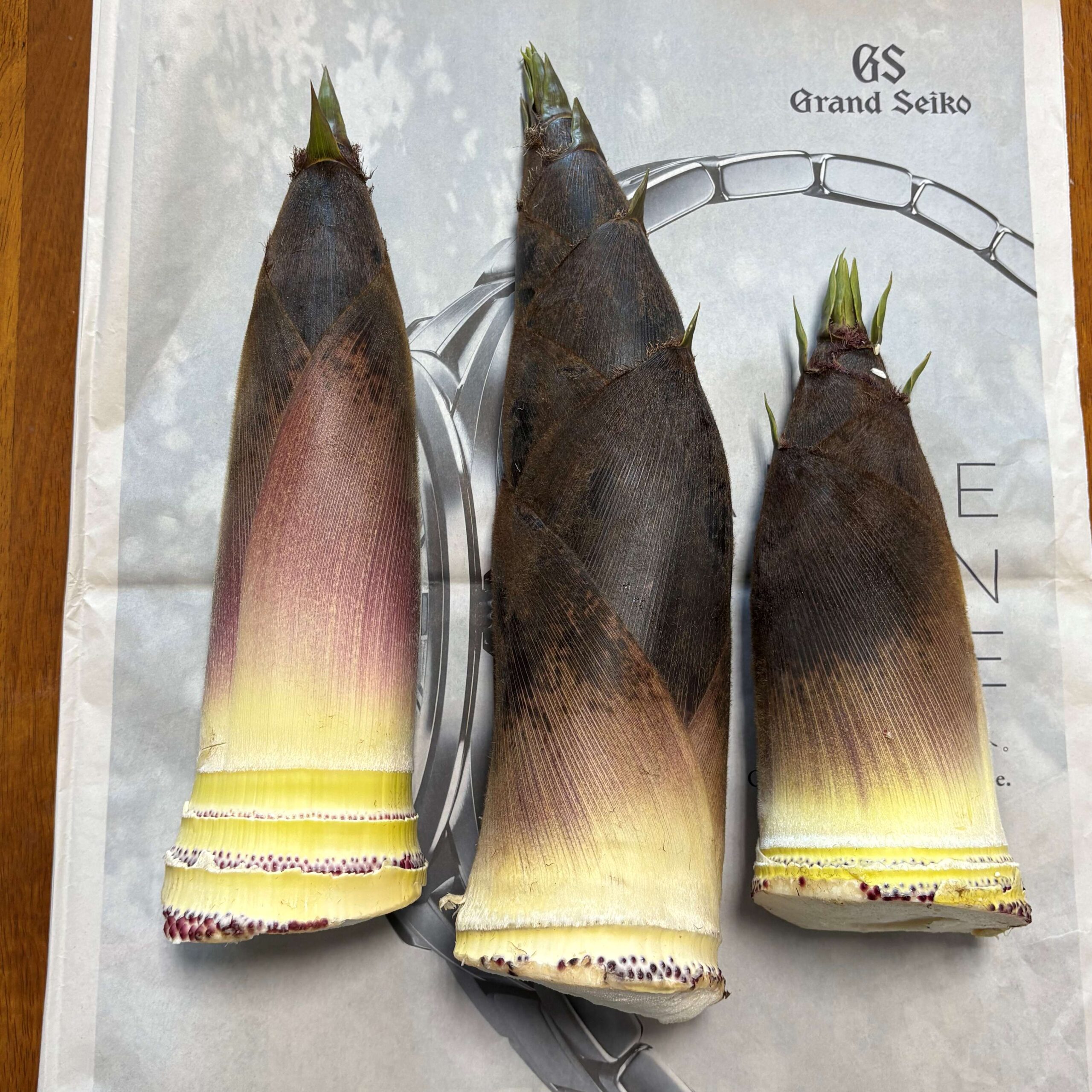 掘りたての孟宗竹3本。皮の紫から黄色のグラデーションが美しい