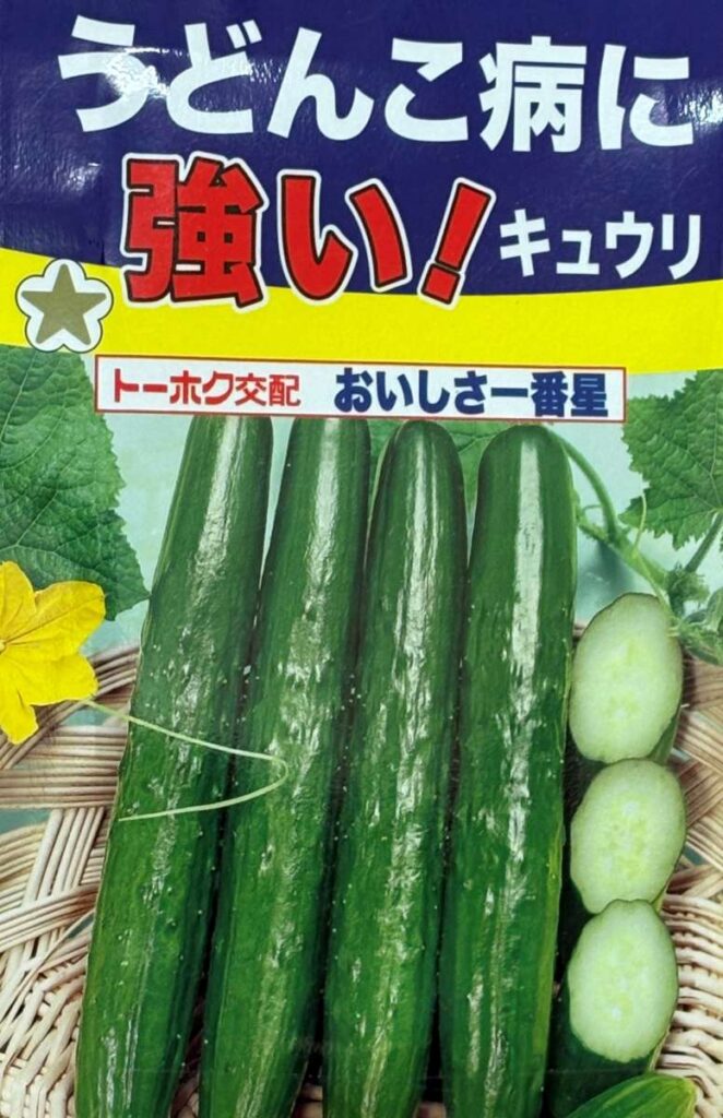 うどんこ病に強い！きゅうりの種