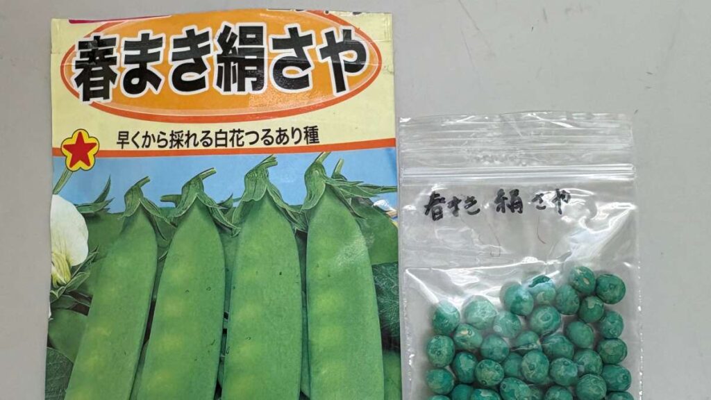 実際に撒いたさやえんどうの種