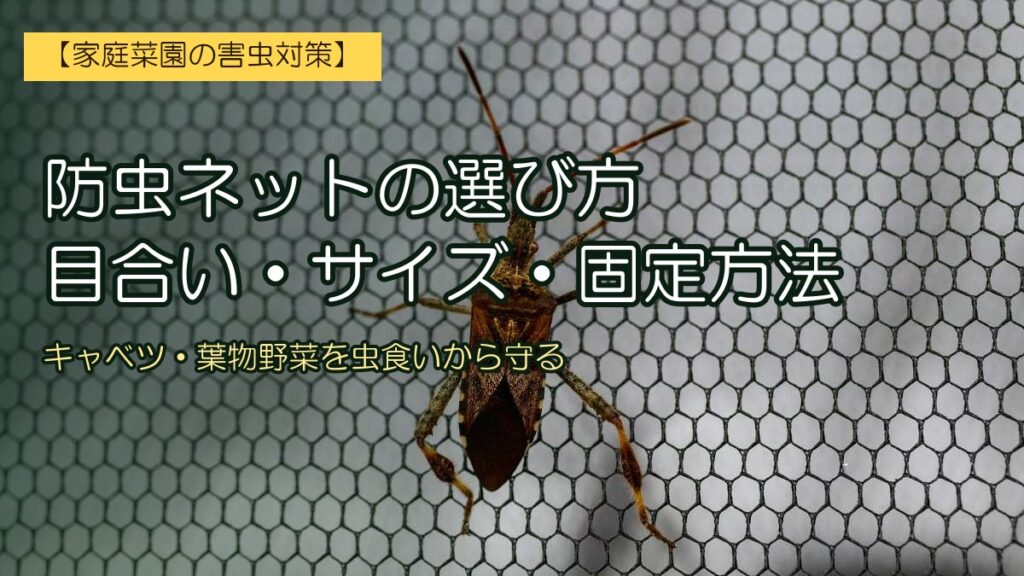 防虫ネット越しに止まったカメムシのアップ写真。左に『防虫ネットの選び方／目合い・サイズ・固定方法』とタイトル