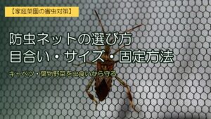 防虫ネット越しに止まったカメムシのアップ写真。左に『防虫ネットの選び方/目合い・サイズ・固定方法』とタイトル
