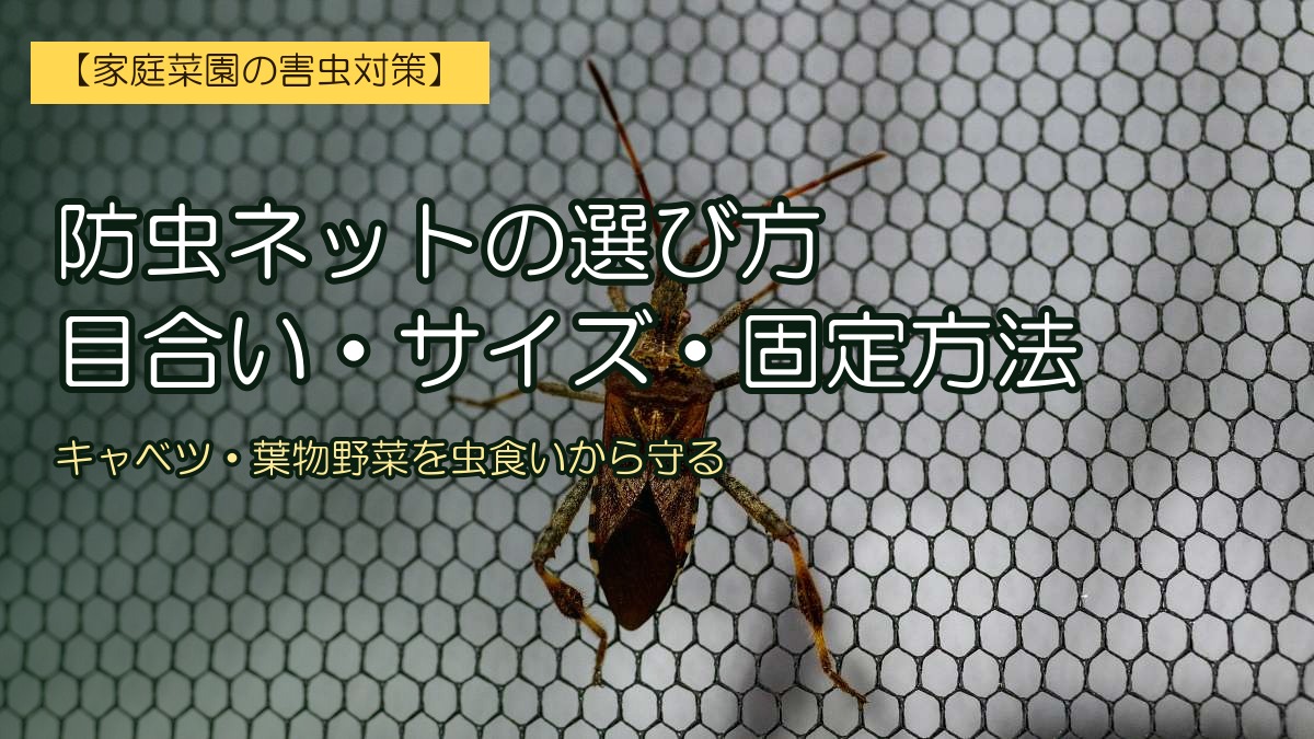 防虫ネット越しに止まったカメムシのアップ写真。左に『防虫ネットの選び方／目合い・サイズ・固定方法』とタイトル