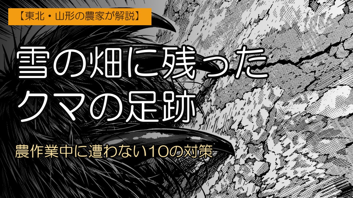 ツキノワグマの鋭い爪イラストを背景に『雪の畑に残ったクマの足跡』のタイトル