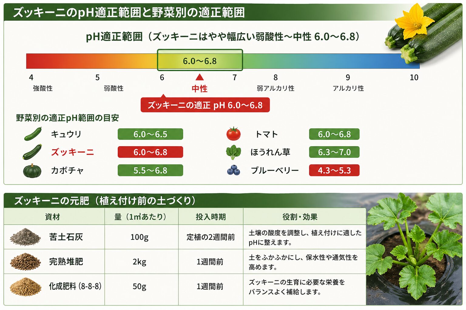 ズッキーニのpH適正範囲（弱酸性〜中性 6.0〜6.8）と野菜別の適正範囲（キュウリ6.0-6.5、ズッキーニ6.0-6.8、カボチャ5.5-6.8、トマト6.0-6.8、ほうれん草6.3-7.0、ブルーベリー4.3-5.3）、および植え付け前の土づくりに使う元肥（苦土石灰100g/㎡を定植2週間前、完熟堆肥2kg/㎡と化成肥料(8-8-8)50g/㎡を1週間前）の役割と効果を1枚にまとめた解説図。