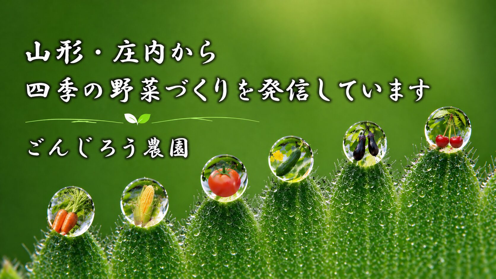 ごんじろう農園の家庭菜園ブログ