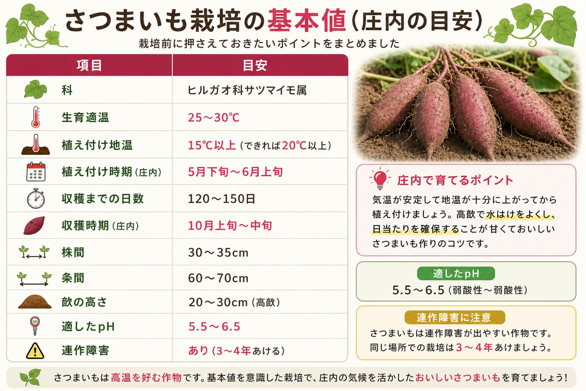 さつまいも栽培の基本値（庄内の目安・生育適温／株間／pH／連作障害など）