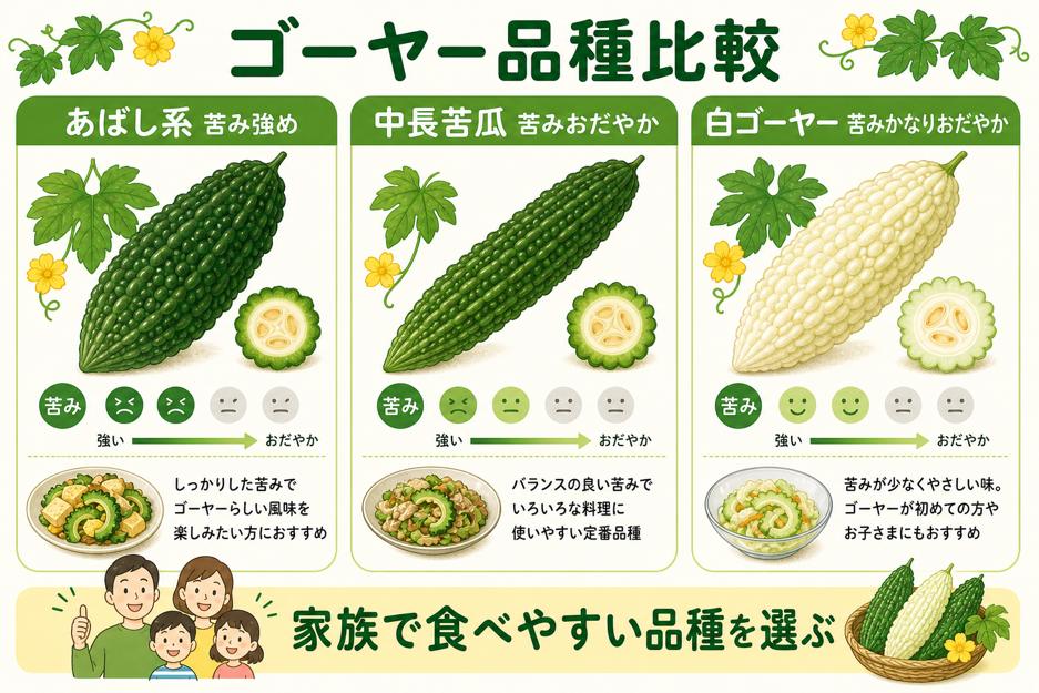 あばし系、中長苦瓜、白ゴーヤーの形と苦みの違いを比較した図解