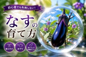 紫色のなすと畑の風景。タイトル「初心者でも失敗しない！なすの育て方」と「植え付け／水やり／おいしい収穫のコツ」のアイコン