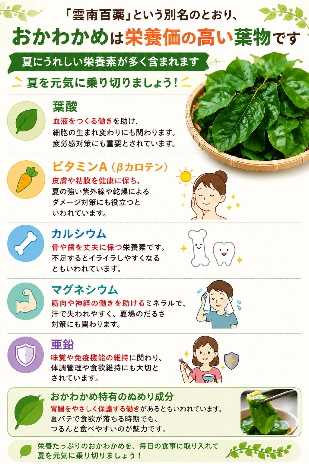 おかわかめに含まれる葉酸・ビタミンA（βカロテン）・カルシウム・マグネシウム・亜鉛とそれぞれの働き、ぬめり成分の胃腸保護効果をまとめた図解