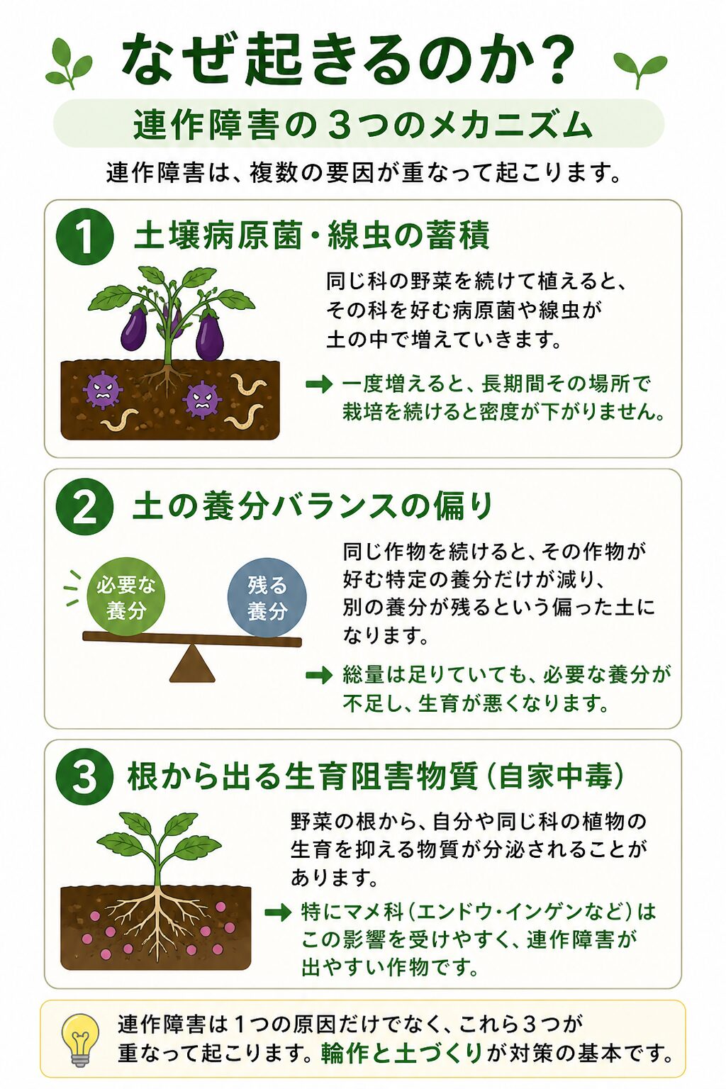 連作障害が起きる3つのメカニズムを整理した解説図。1. 土壌病原菌・線虫の蓄積：同じ科の野菜を続けて植えると、その科を好む病原菌や線虫が土の中で増えていく。2. 土の養分バランスの偏り：同じ作物を続けると、その作物が好む特定の養分だけが減り、別の養分が残るという偏った土になる。総量は足りていても必要な養分が不足し、生育が悪くなる。3. 根から出る生育阻害物質（自家中毒）：野菜の根から自分や同じ科の植物の生育を抑える物質が分泌される。特にマメ科（エンドウ・インゲンなど）はこの影響を受けやすい。連作障害は1つの原因だけでなく、これら3つが重なって起こり、輪作と土づくりが対策の基本