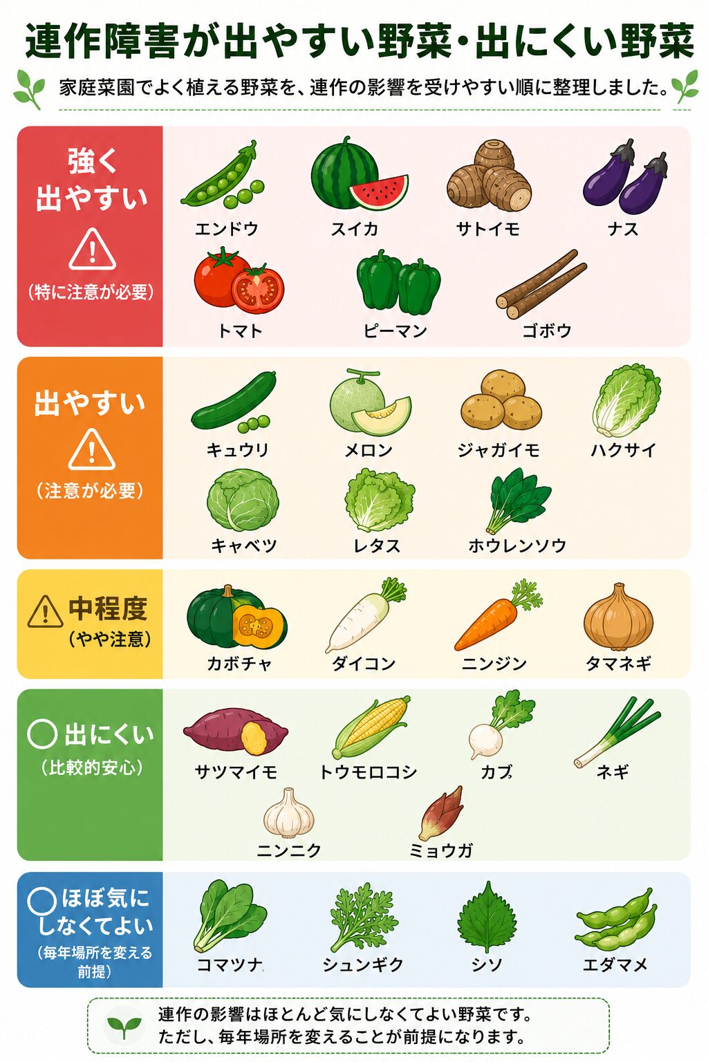 家庭菜園でよく植える野菜を、連作の影響を受けやすい順に5段階で整理した一覧表。強く出やすい：エンドウ・スイカ・サトイモ・ナス・トマト・ピーマン・ゴボウ。出やすい：キュウリ・メロン・ジャガイモ・ハクサイ・キャベツ・レタス・ホウレンソウ。中程度：カボチャ・ダイコン・ニンジン・タマネギ。出にくい：サツマイモ・トウモロコシ・カブ・ネギ・ニンニク・ミョウガ。ほぼ気にしなくてよい（毎年場所を変える前提）：コマツナ・シュンギク・シソ・エダマメ