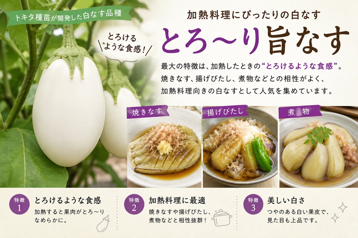 白なす「とろ〜り旨なす」のインフォグラフィック。焼きなす・揚げびたし・煮物の3料理写真と、とろけるような食感／加熱料理に最適／美しい白さの3つの特徴