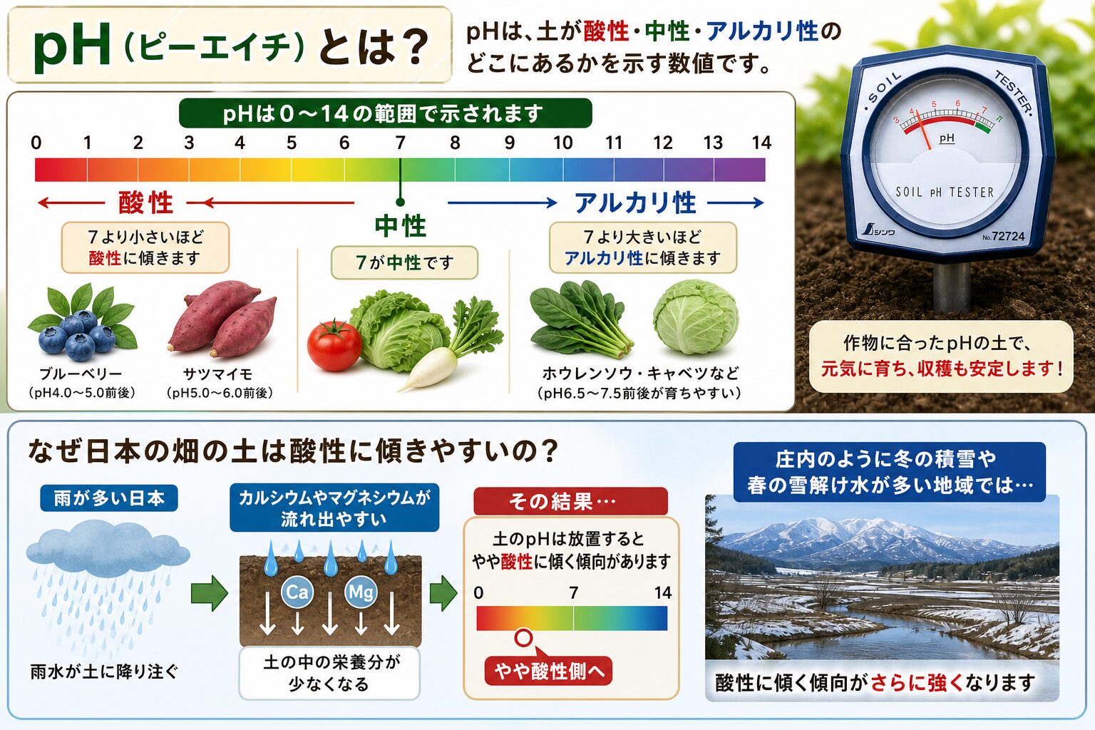 pHは0〜14の範囲で示され、7が中性、それより小さいと酸性（ブルーベリー・サツマイモ）、大きいとアルカリ性に傾く。日本の畑は雨が多いためカルシウム・マグネシウムが流出して酸性化しやすく、庄内のように冬の積雪と春の雪解け水が多い地域では傾向がさらに強まることを示した解説図