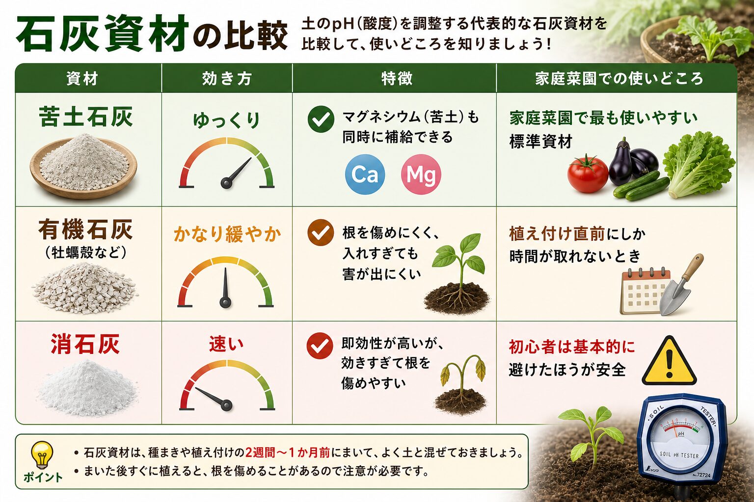 苦土石灰・有機石灰・消石灰の3種類の石灰資材を比較した解説図。苦土石灰はゆっくり効きマグネシウム（苦土）も補給できる家庭菜園で最も使いやすい標準資材、有機石灰（牡蠣殻など）はかなり緩やかで根を傷めにくく植え付け直前にしか時間が取れないときに使う、消石灰は速いが効きすぎて根を傷めやすく初心者は基本的に避けたほうが安全。石灰資材は種まきや植え付けの2週間〜1か月前にまいてよく土と混ぜておく