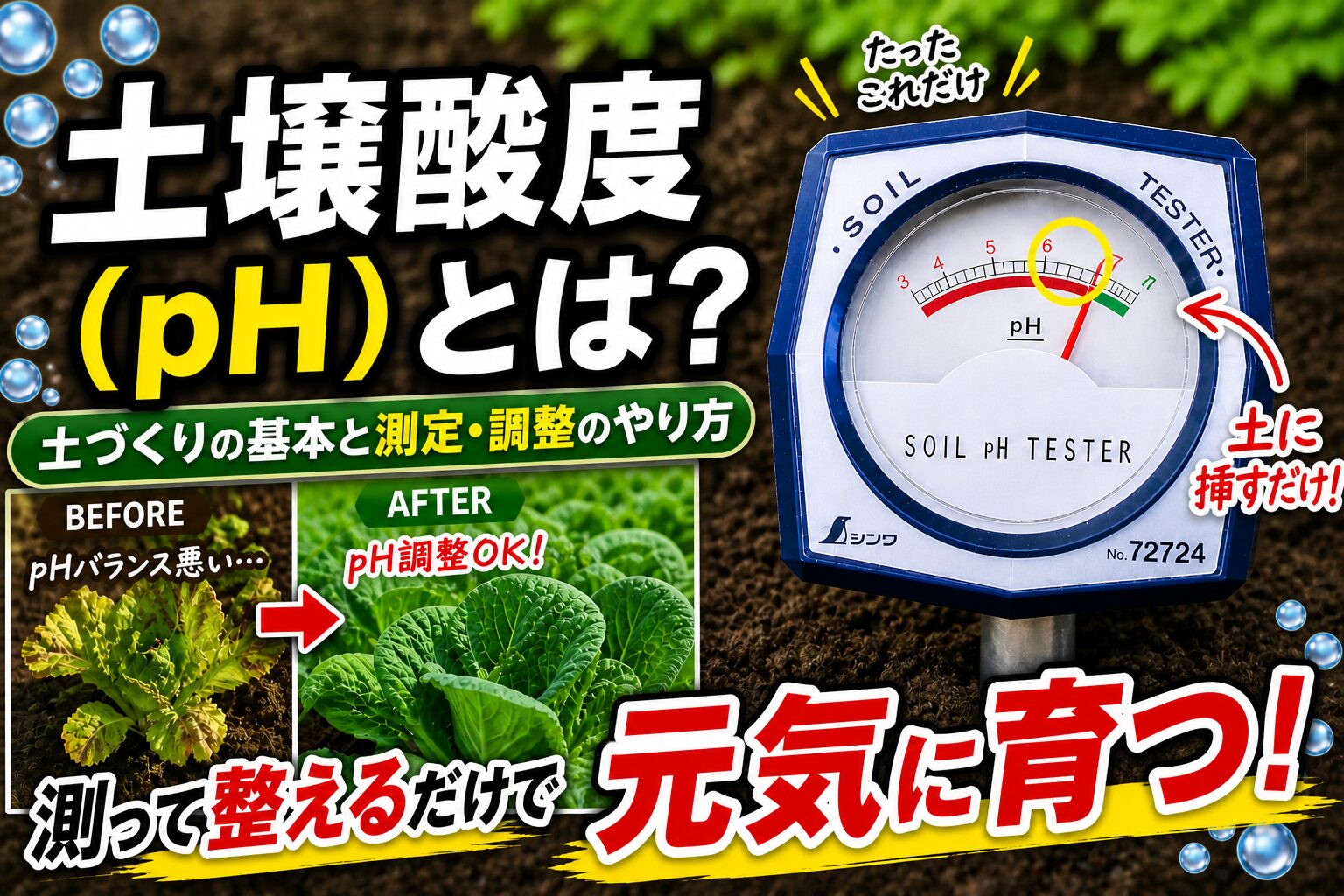 簡易土壌酸度計（シンワ測定 SOIL pH TESTER）と、pH調整前後の野菜の比較。タイトル「土壌酸度（pH）とは？土づくりの基本と測定・調整のやり方」