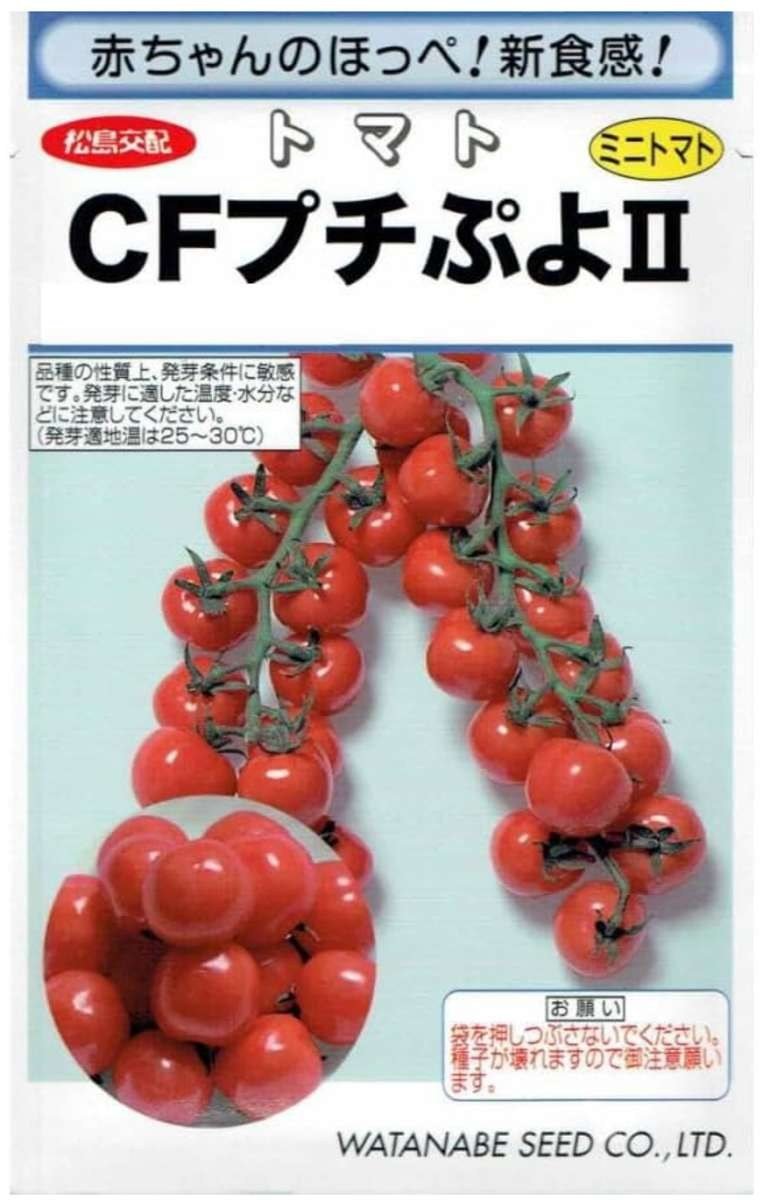 渡辺採種場（松島交配） CFプチぷよⅡ 種袋