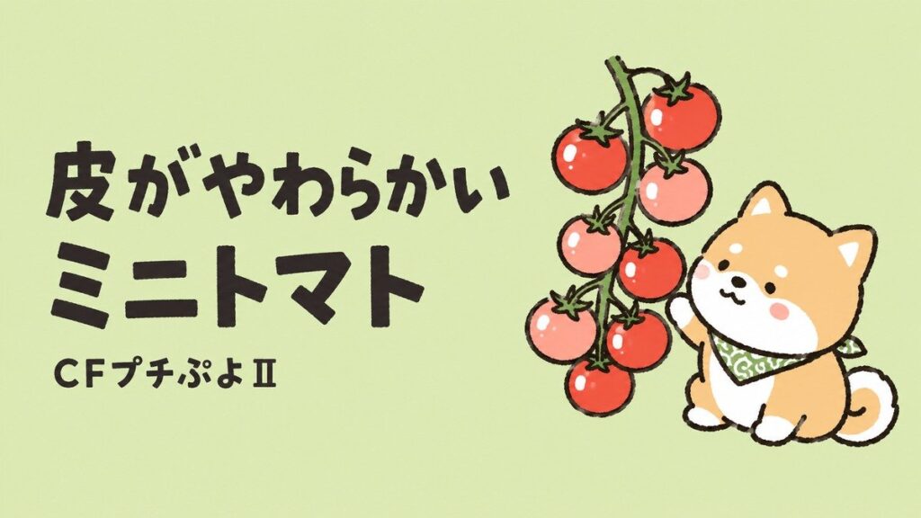 皮がやわらかいミニトマトCFプチぷよⅡの育て方｜アイキャッチ