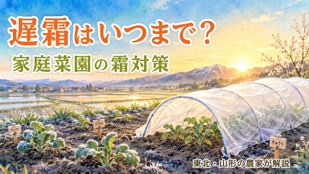 遅霜はいつまで？家庭菜園の霜対策（東北・山形の農家が解説）