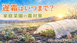 遅霜はいつまで？家庭菜園の霜対策（東北・山形の農家が解説）