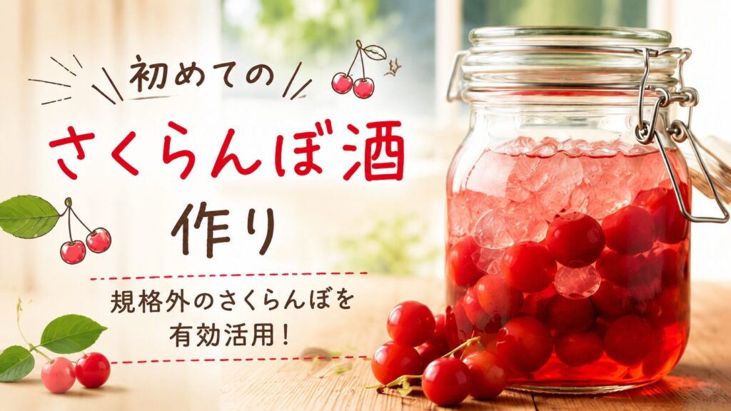 「初めてのさくらんぼ酒作り 規格外のさくらんぼを有効活用」のテキストと仕込み中の瓶