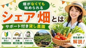 畑がなくても始められるサポート付き貸し農園「シェア畑」の紹介記事アイキャッチ。野菜のカゴを持つ女性と貸し農園の区画、手ぶらでOK・農具完備・栽培サポートの3つの特徴