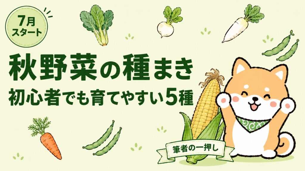 秋野菜の種まき。初心者でも育てやすい小松菜・かぶ・にんじん・大根・つるなしインゲンの5種と、筆者の一押しとうもろこし「ゴールドラッシュ」を紹介するアイキャッチ