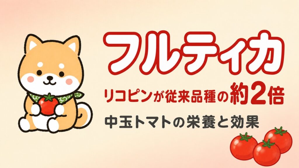 トマトを抱えた柴犬キャラクターのイラストと、「フルティカ」「リコピンが従来品種の約2倍」「中玉トマトの栄養と効果」の文字。右下に赤い中玉トマト3個