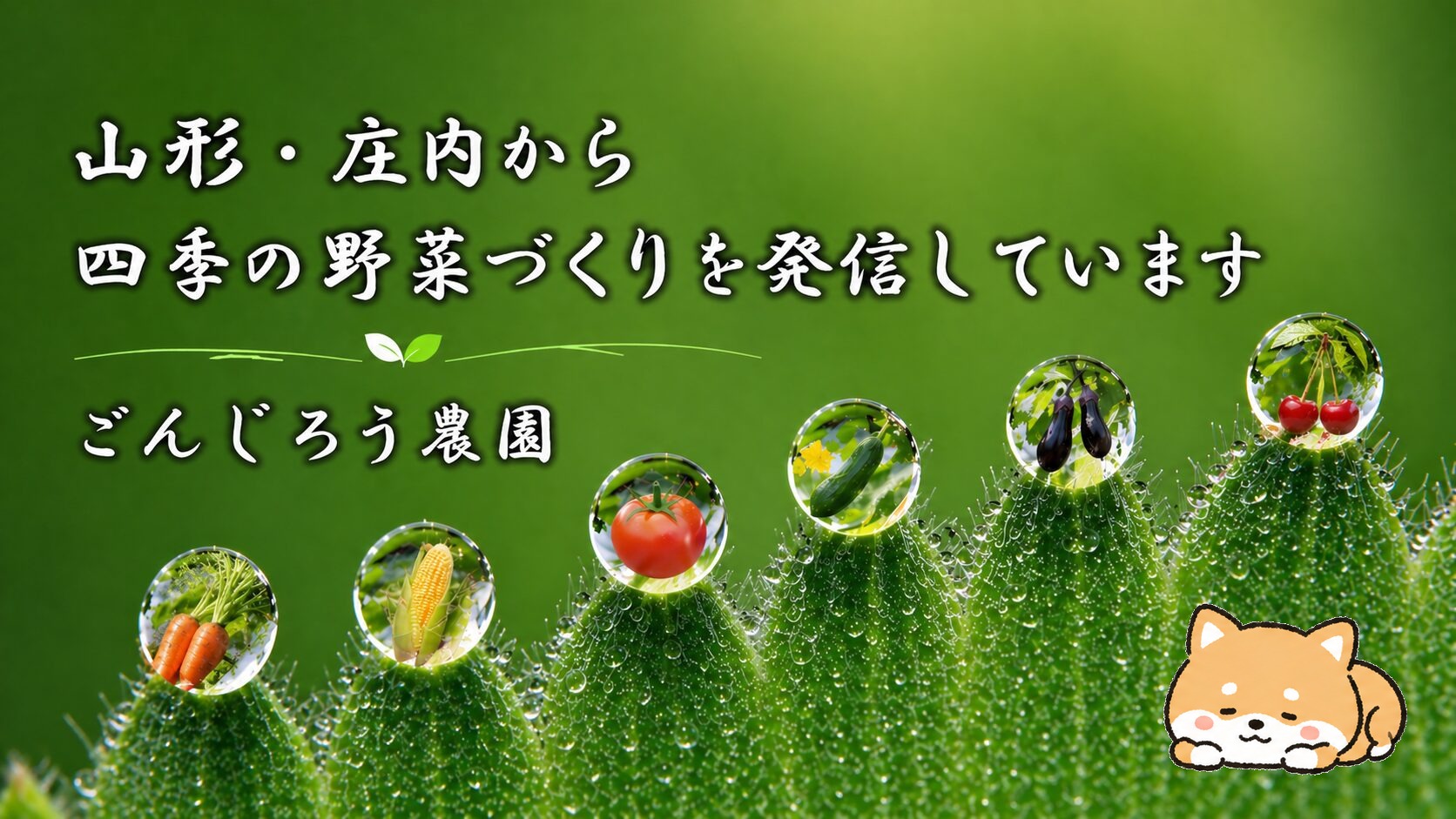 ごんじろう農園の家庭菜園ブログ