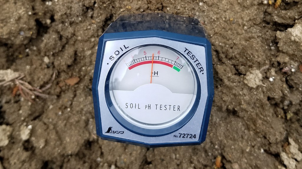 畑に差し込んだ土壌酸度計の針がpH5と6の中間（5.5付近）を指している