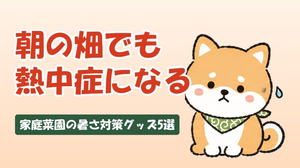 朝の畑でも熱中症になる 家庭菜園の暑さ対策グッズ5選