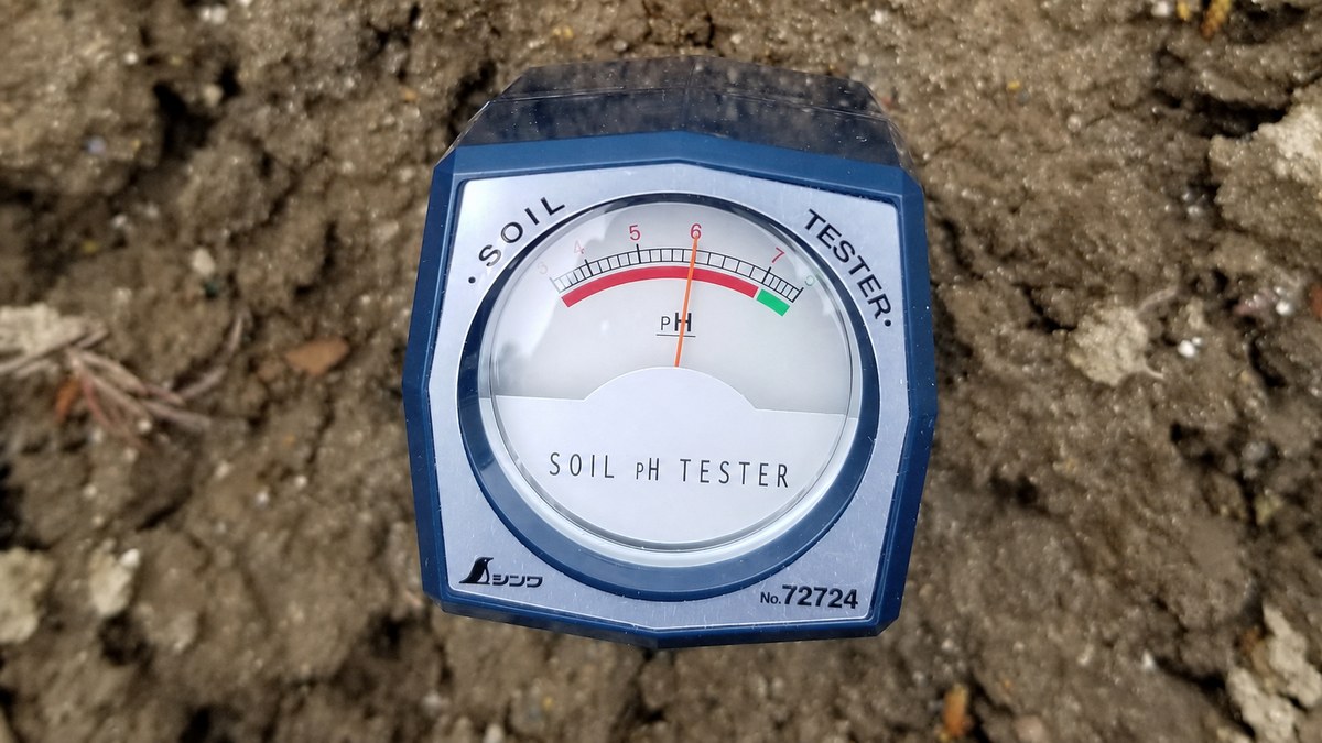 畑の土に差し込んだシンワ測定の土壌酸度計（SOIL pH TESTER 72724）。針はpH6を示しており、とうもろこしに適したpH 6.0〜6.5の範囲に入っている