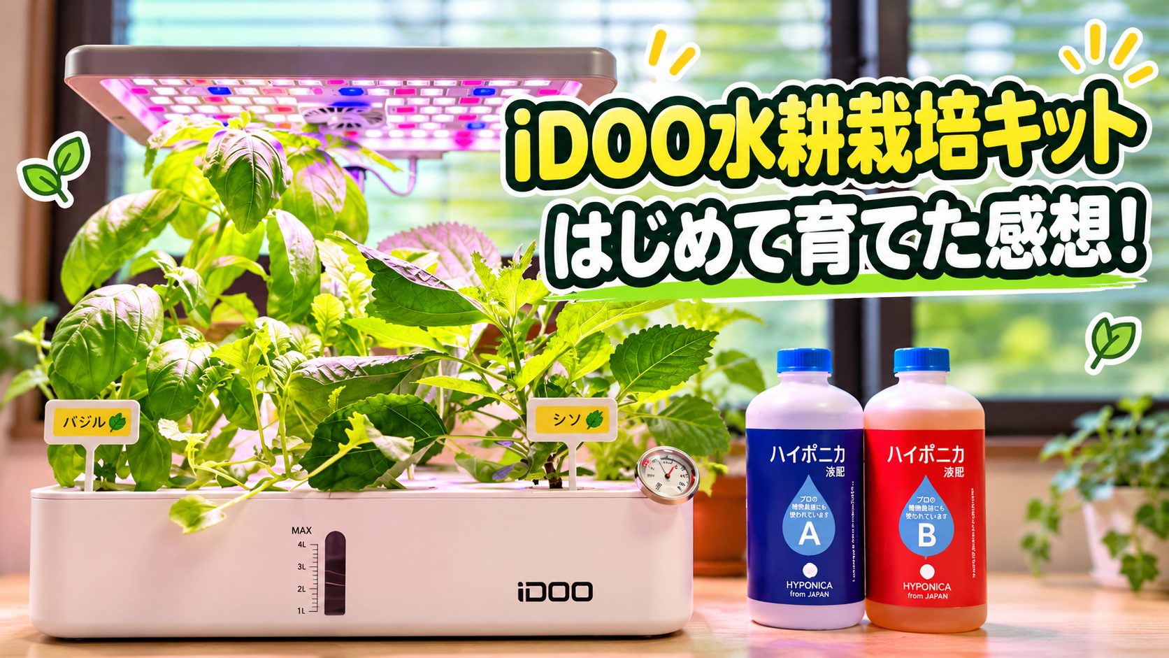 iDOO水耕栽培キットで野菜を育てた感想