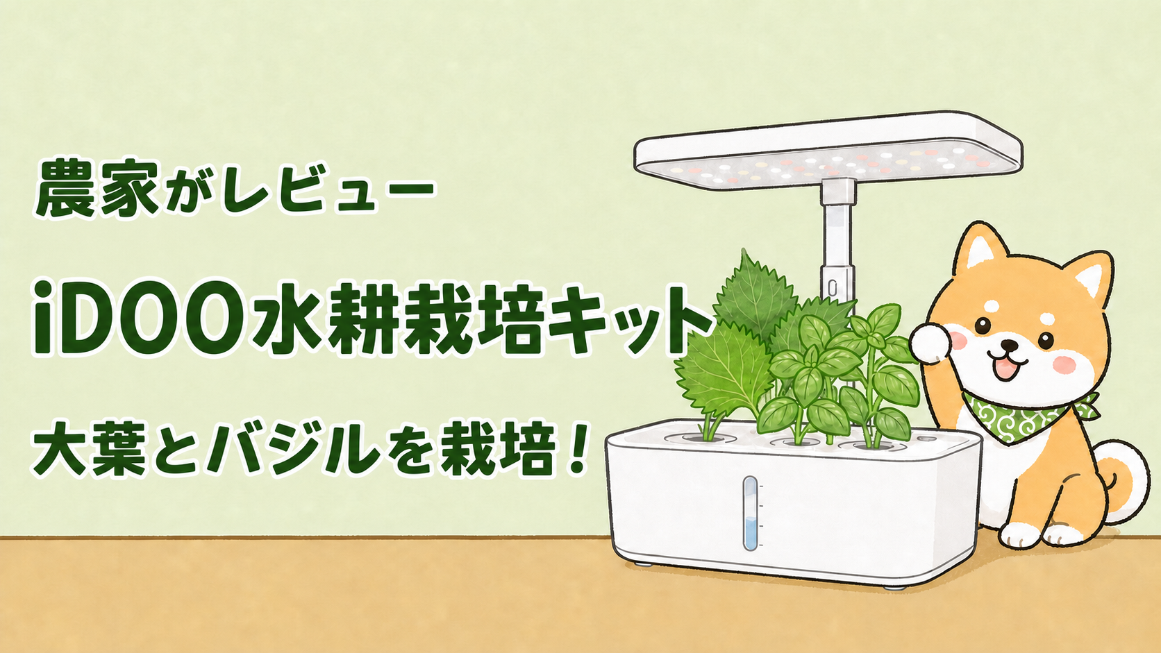 iDOO水耕栽培キットで大葉とバジルを育てる農家レビューのアイキャッチ