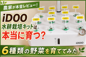農家がiDOO水耕栽培キットで6種類の野菜を育てたレビュー