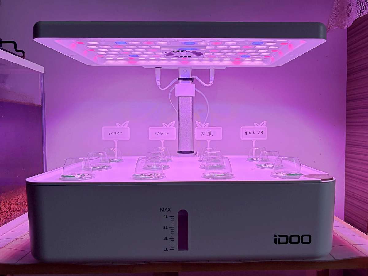 iDOO ID-IG301に4種類の種をまいて設置した様子