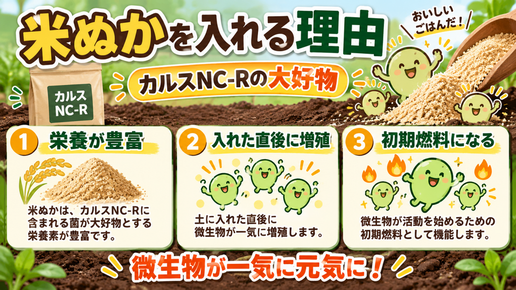 カルスNC-Rに米ぬかを入れて微生物の増殖を促す仕組みの図解