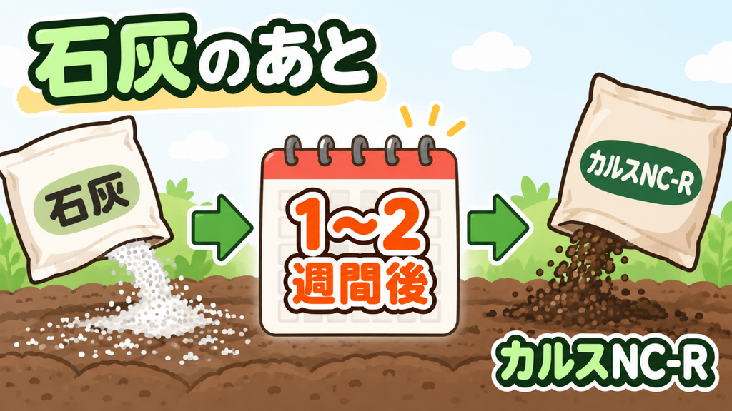 カルスNC-Rと苦土石灰は同時に混ぜず、石灰をまいてから1〜2週間あけて使う手順を示した図解